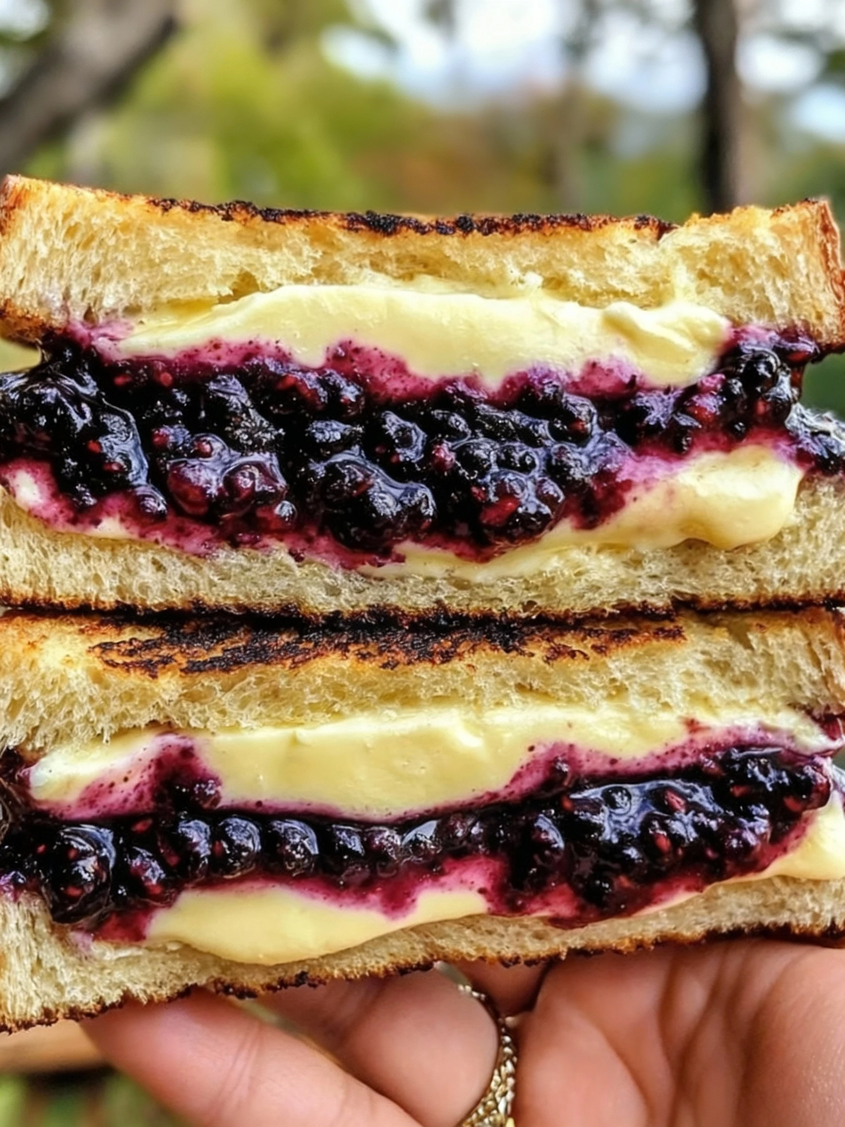 Balsamic Blackberry Bliss Grilled Cheese finished