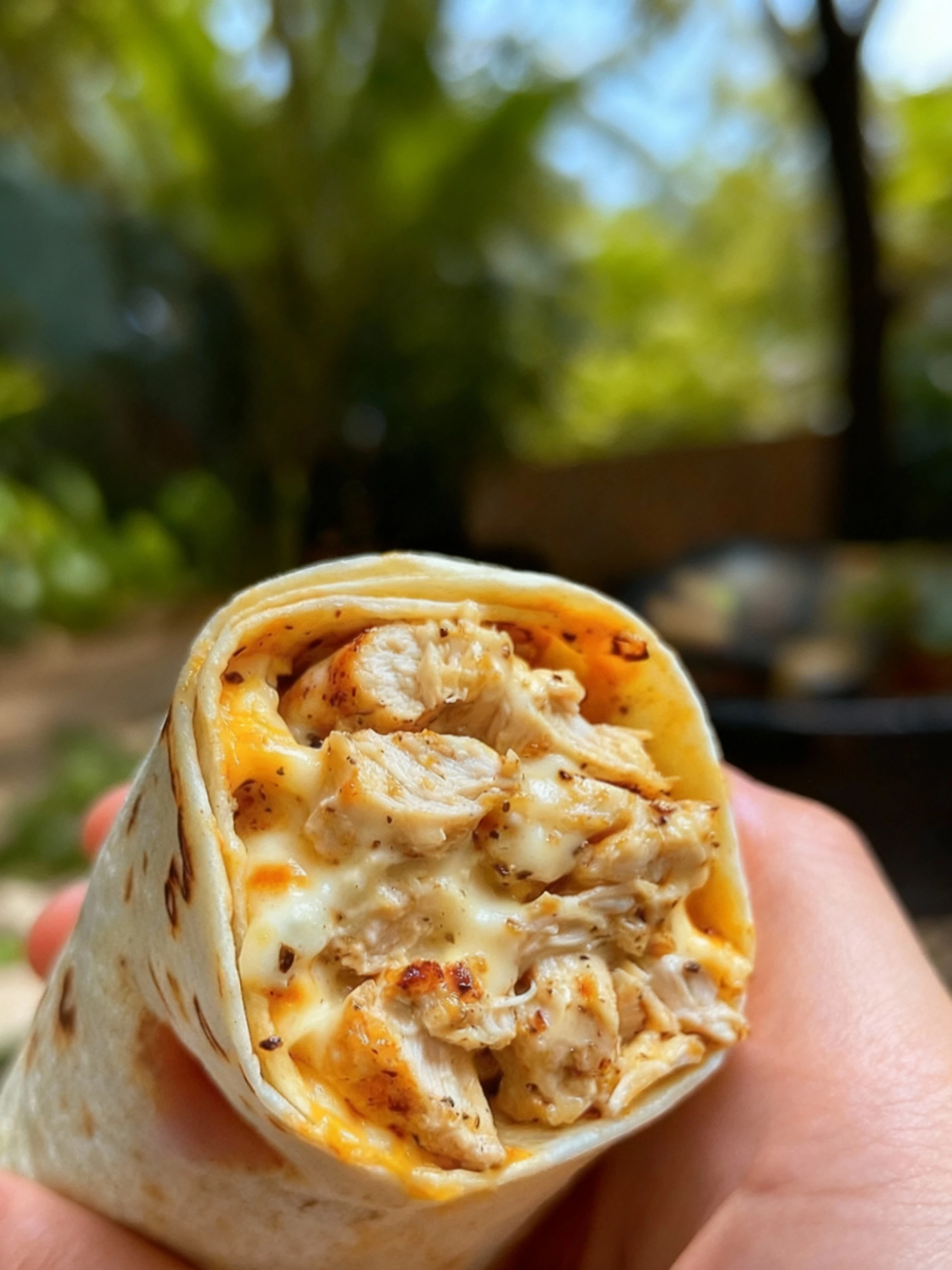 Cheesy Garlic Chicken Wraps finished