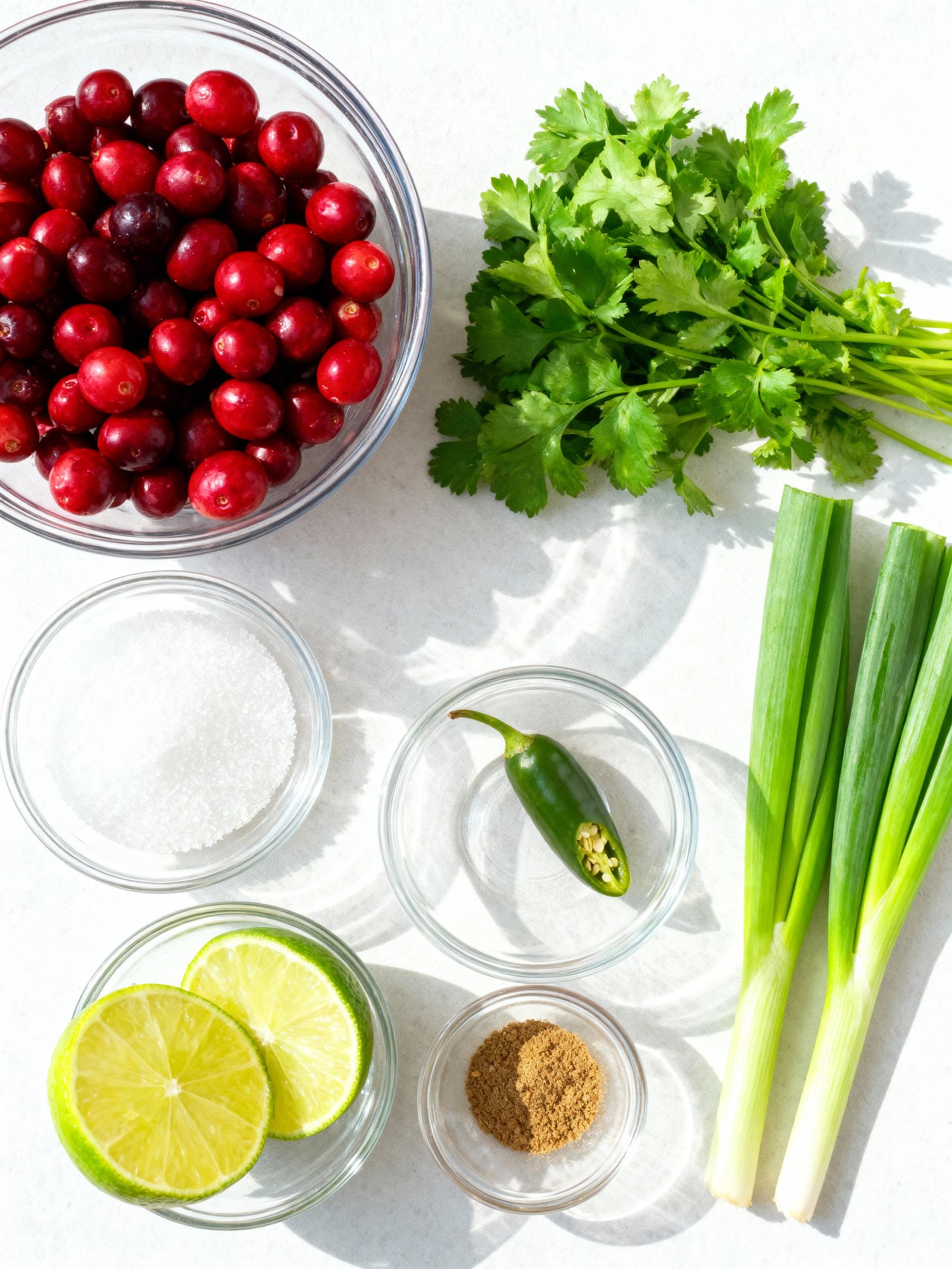 Cranberry Salsa ingredients