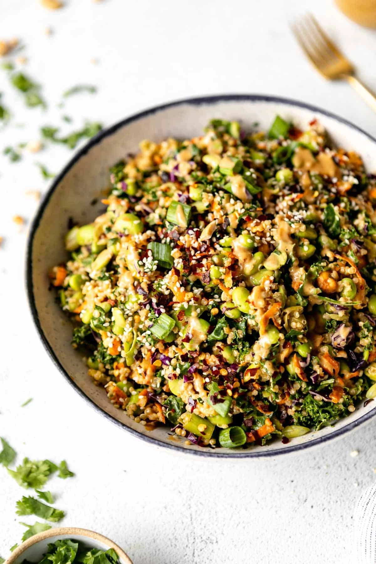 Asian Inspired Edamame Peanut Crunch Salad finished